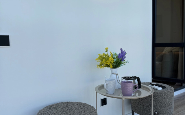 Квартира Люкс Площадь Искусств