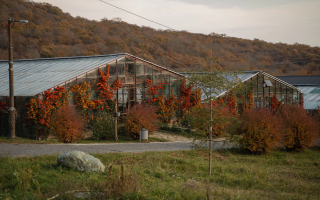 Отель Kiketi Farm