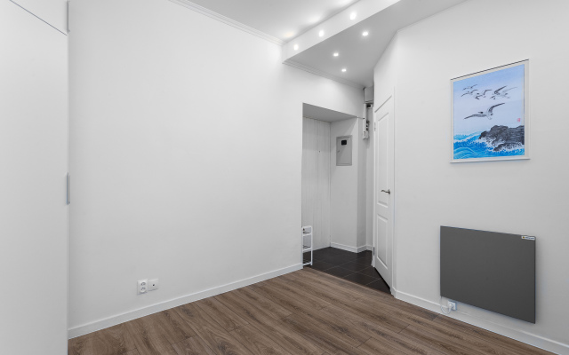 Апартаменты Квартира на Невском с домашним кинотеатром