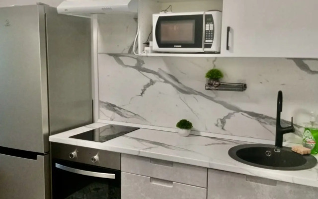 Studiya Na Prokshinskom Prospekte Apartment