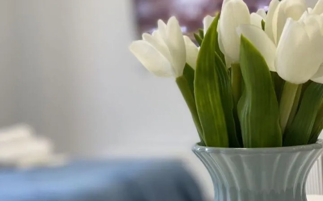 Квартира на Пирогова 4