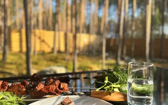 Дом ВИЛЛА в КАРЕЛИИ 4