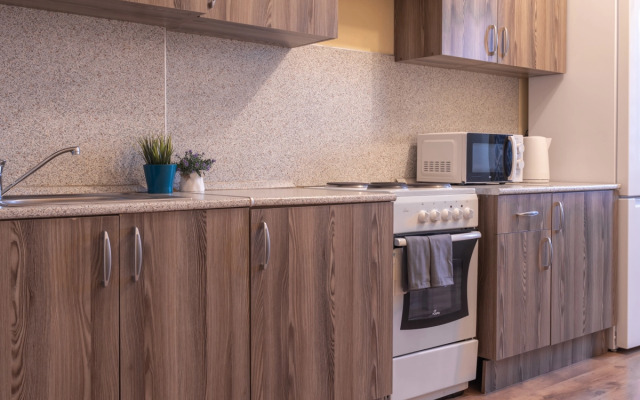 Апартаменты Apart Seasons Belinskogo 177A/3