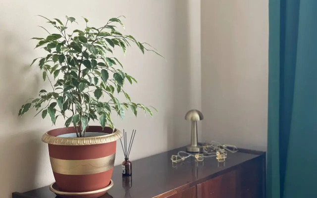 Studiya na Kuryizhova Flat