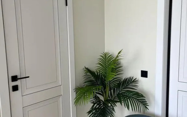 Квартира на Пластунской 123ак3