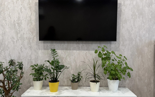 Uyutnaya S Potryasayuschim Vidom Flat