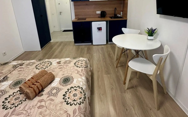 Апартаменты Квартира-студия Apart Dukat