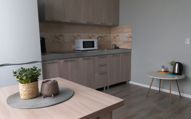 Kvartira Odnokomnatnaa v Central'nom Rajone Okolo BelGU