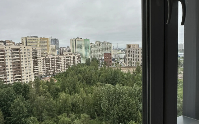 Prostornaya V Kudrovo Flat