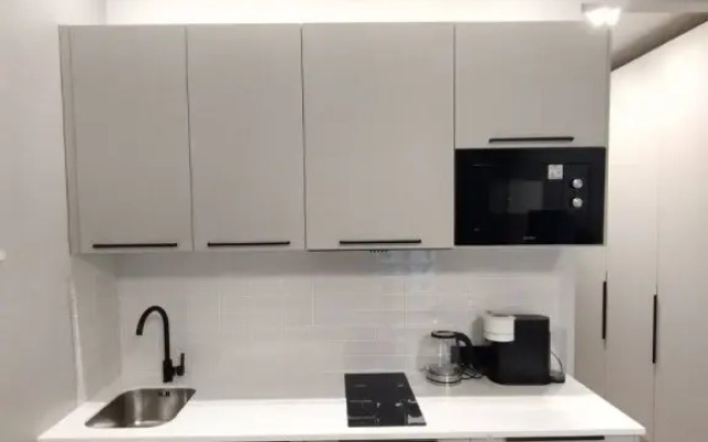 Vasilievsky Loft Studio Apartments 1