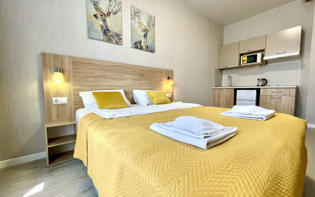 Uyutnye U Aeroporta Pulkovo Apartments