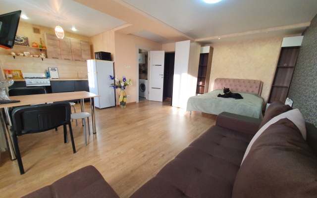 Апартаменты "Багира" рядом Протон-Арена, бассейн ДВВС, СКАД, въезд в город, Р228