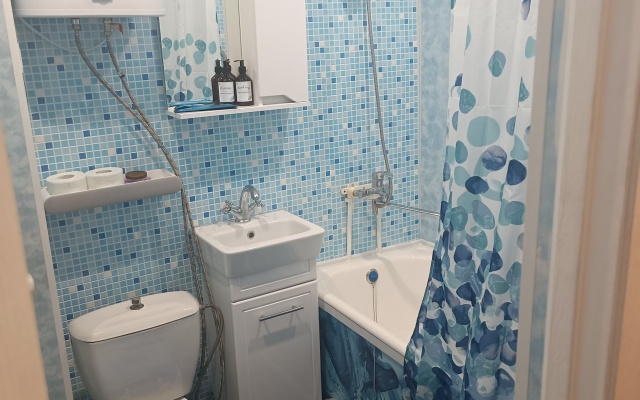 Uyutnaya v Tsentre Goroda na Zejskoy Flat