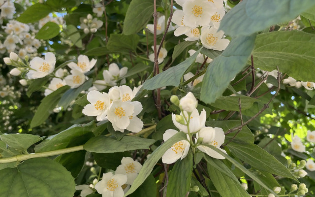 Квартира Snug&CosyHome