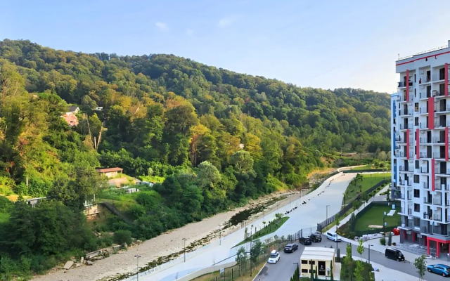 Квартира 2-х комнатная квартира в Сочи с видом на лес