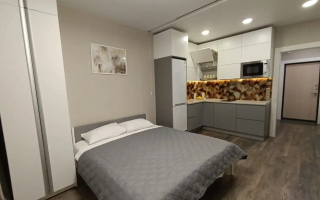 Uyutnaya Studiya Flat