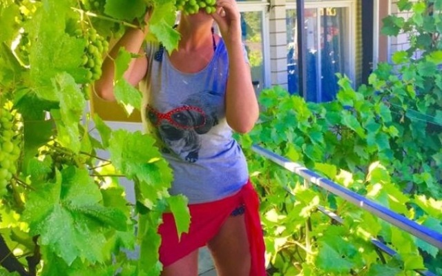 U Valery Guest House