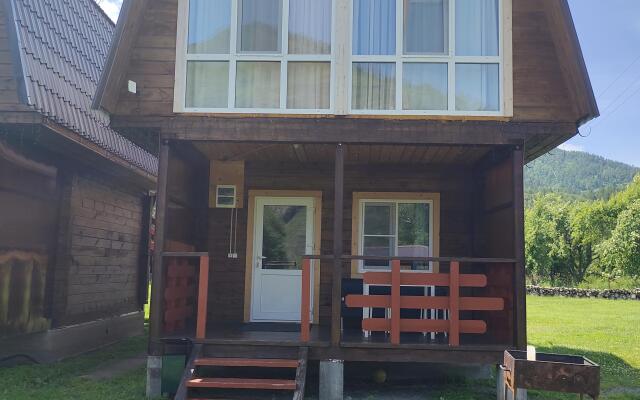 Homestead Golden Bear