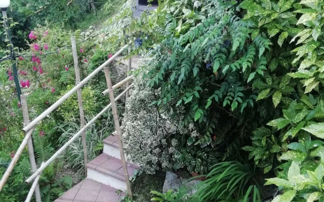 Гостевой дом Эвкалипт