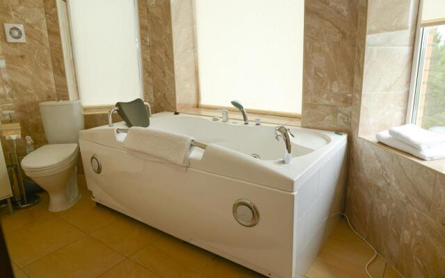 Sheremet'evo-Aleksandriya Guest House