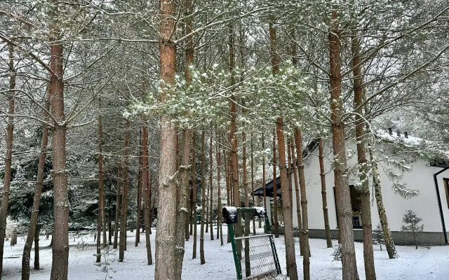 Premialny Semeyny Dom V Sosnovom Lesu Private house