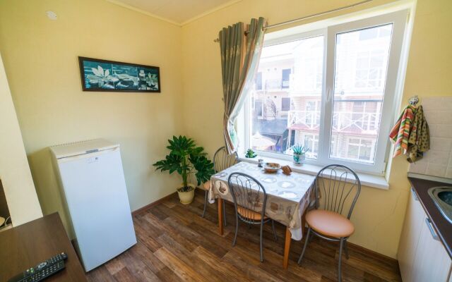 Svetlana Guest house