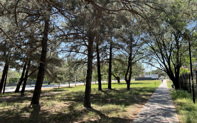 261 Mansarda 12 Min Do Plyazha Flat