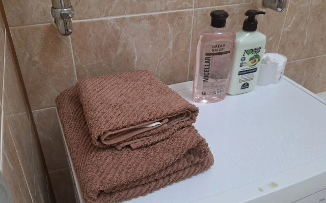 S Individualnym Parkovochnym Mestom, Bataysk Flat