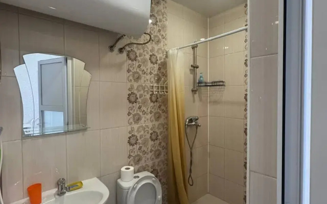 Studiya V Gornom Vozdukhe Flat