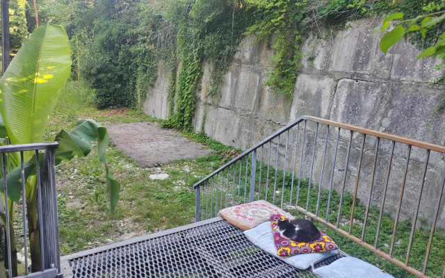 Sola Guest house