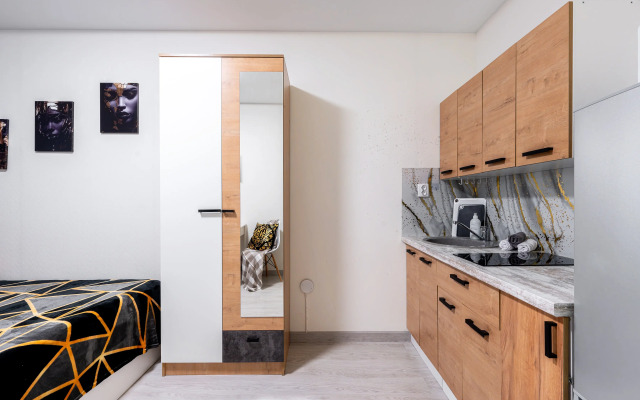 Uyutnaya Studiya Ryadom S. M. Devyatkino Apartments