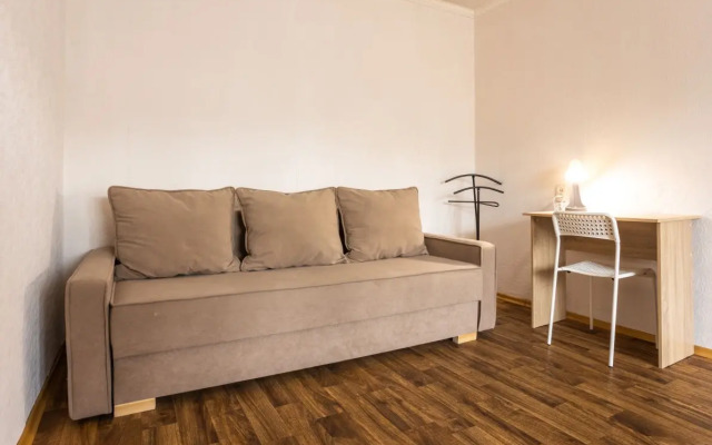 Odnokomnatnyye Passazhir 1 Apartments