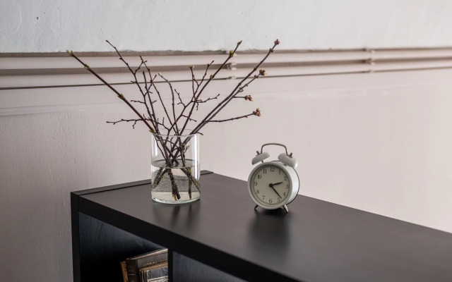 Apartamenty  Comfort Life v Izmajlovo
