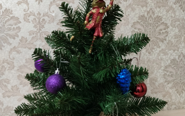 Квартира Видовая