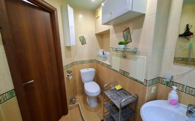 Uyutnaya kvartira v tsentre goroda Flat