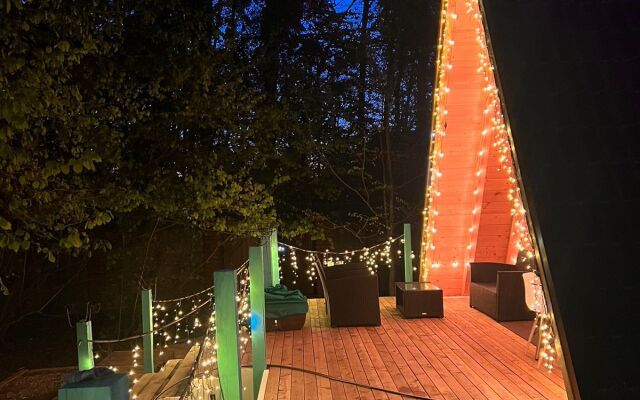 A-Frame Dubhouse Private house