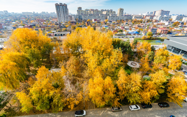 Квартира с панорамным видом на город рядом с парком Галицкого. Сеть Мята