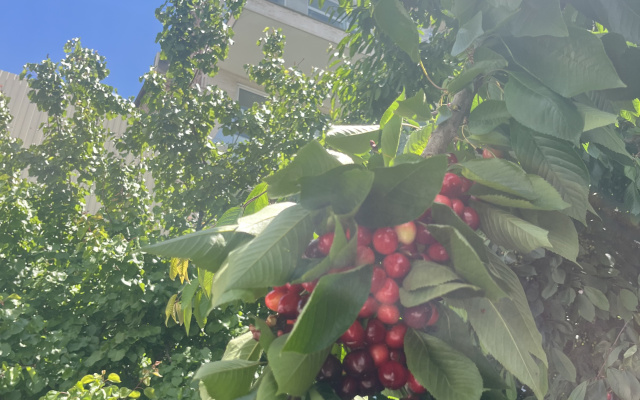 Отель Wave Inn Yerevan