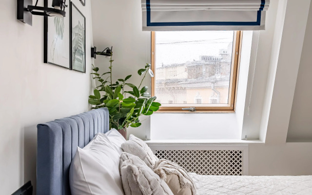 Abrikosovoye Derevo Na Petrogradskoy Storone Apartments 2