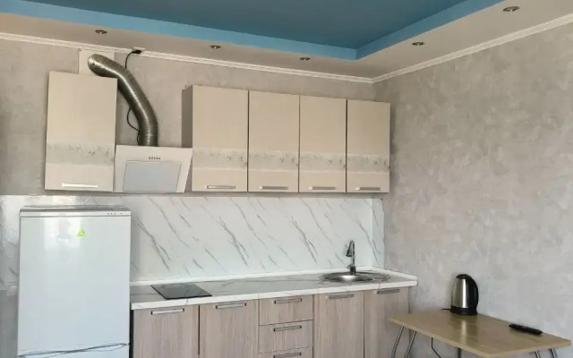 Квартира Студия курыжова 32