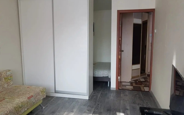 Апартаменты в Районе ТРК Гудзон