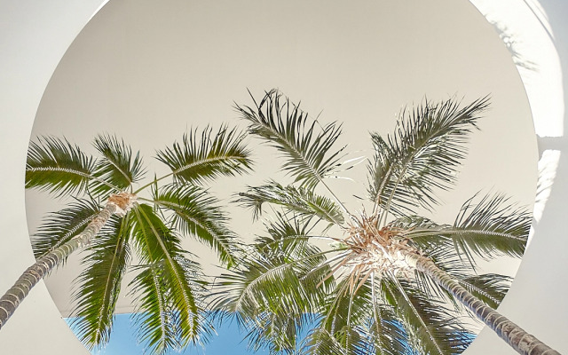 Hotel Baobab Suites