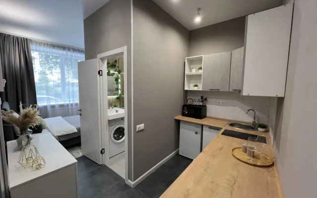 Апартаменты Stepanenkov на Воеводина 4 (3)