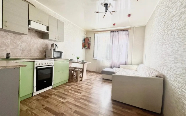 Uyutnye Na Ulitse Turgeneva 7 Apartments