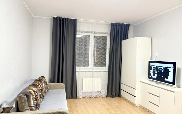 Yuzhny Vokzal- Rybnaya Derevnya Apartments