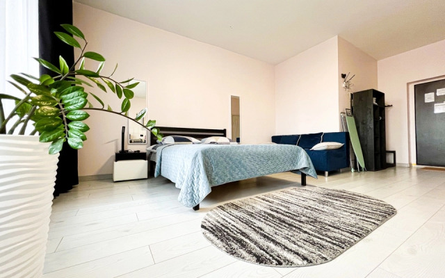 Апартаменты Красных Мадьяр 14/2