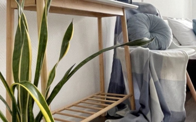 Апартаменты в историческом центре Москвы