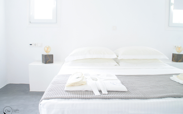 Ow Andros Luxury Suites Villa