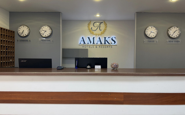 Hotel Amaks city