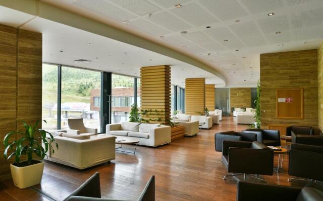 Hotel Zirve
